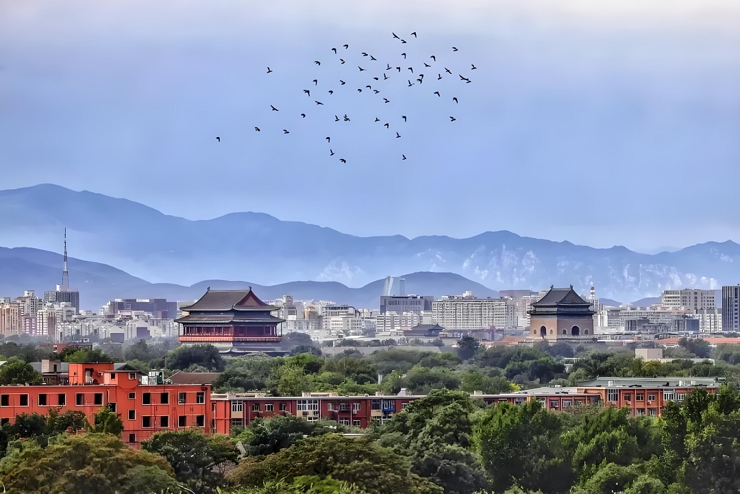 中環(huán)長(cháng)青聯(lián)合體中標東城區 “兩山”實(shí)踐創(chuàng  )新基地建設服務(wù)項目
